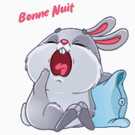 bonne nuit lapin